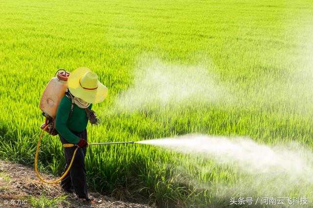 Lámpadas solares insecticidas e pesticidas entre si, quen é mellor?